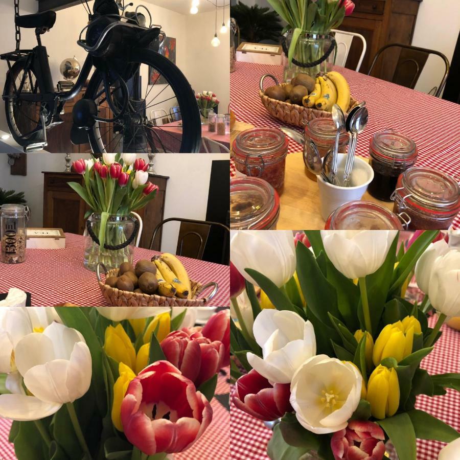 Bed and Breakfast Le Magnolia Carcassonne Esterno foto