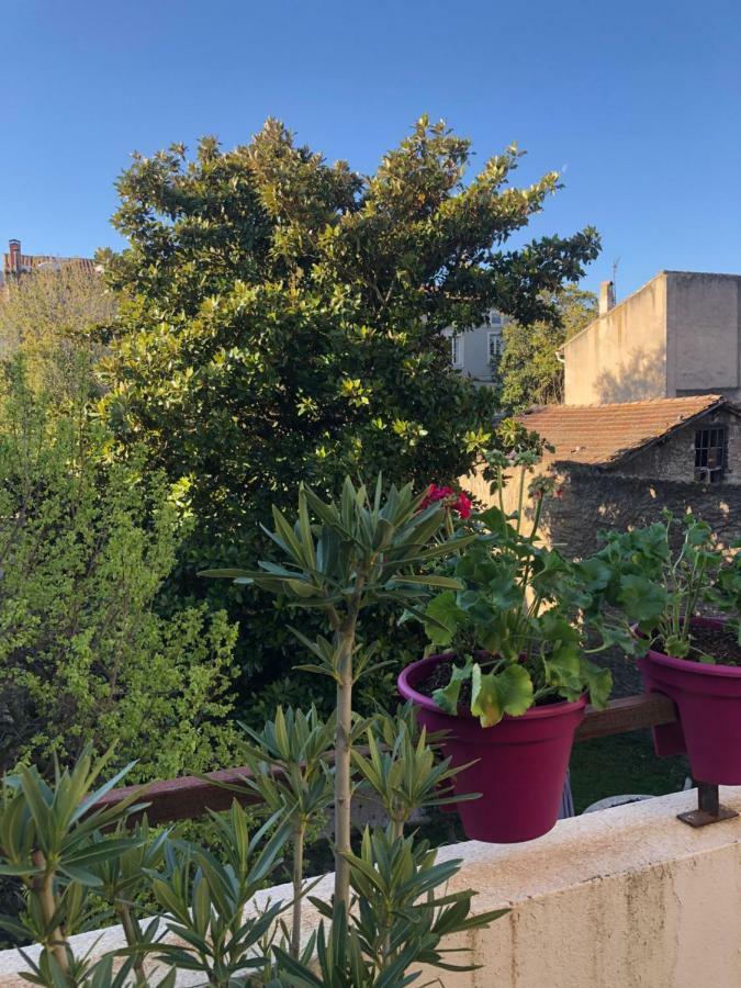Bed and Breakfast Le Magnolia Carcassonne Esterno foto